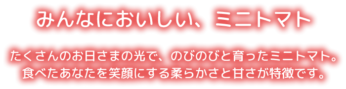 みんなにおいしい、ミニトマト たくさんのお日さまの光で、のびのびと育ったミニトマト。食べたあなたを笑顔にする柔らかさと甘さが特徴です。